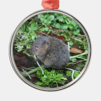 Water Vole Metal Ornament