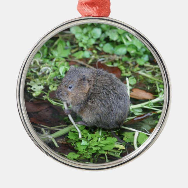 Water Vole Metal Ornament (Front)