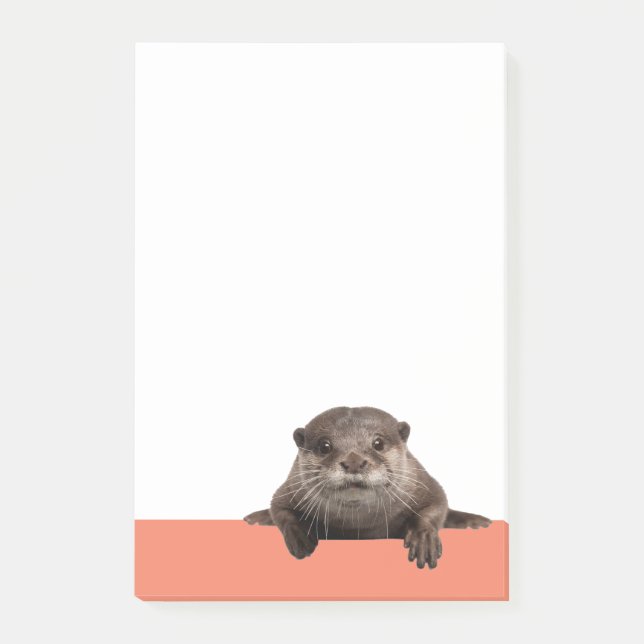 Water Weasels - Cute Otter Post-it Notes (Front)