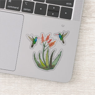 Watercolor Aloe Vera Succulent Hummingbirds Blooms