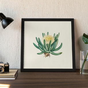 Watercolor Antique Botanical Cactus Print Poster