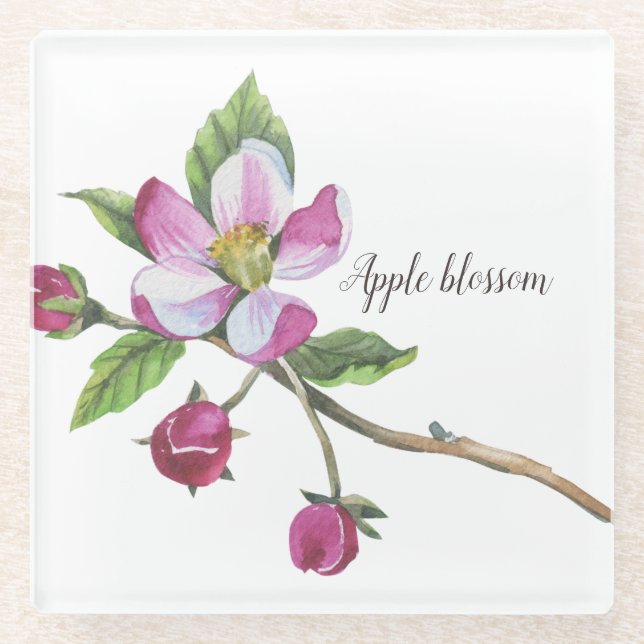 Watercolor Apple Blossom Botanical Glass Coaster (Front)