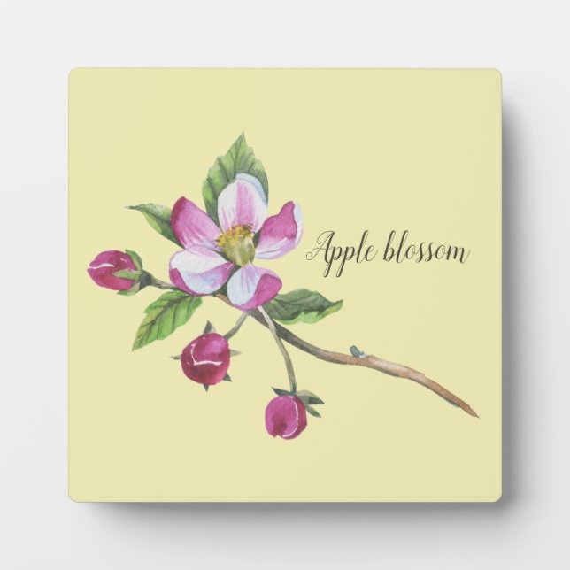 Watercolor Apple Blossom Botanical Plaque (Front)