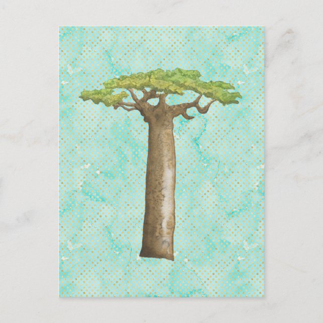 Watercolor Baobab Tree  Postcard (Front)