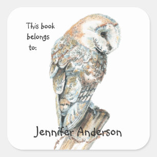 Watercolor Barn Owl Bird art Custom Bookplate Square Sticker