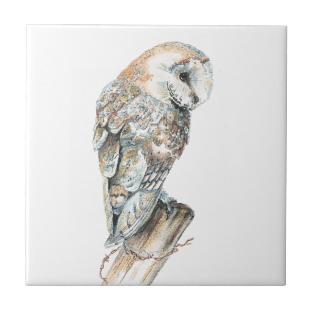 Watercolor Barn Owl Bird Art Tile (Front)