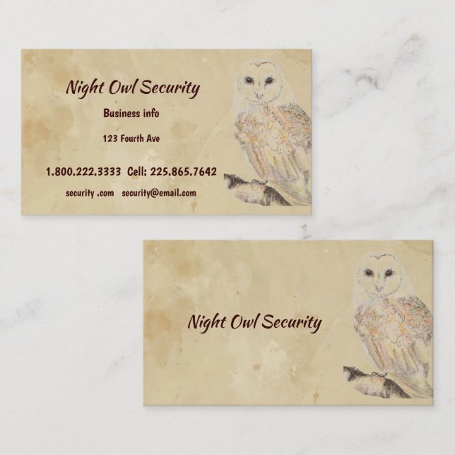 Watercolor Barn Owl Security Business Card (Front/Back)