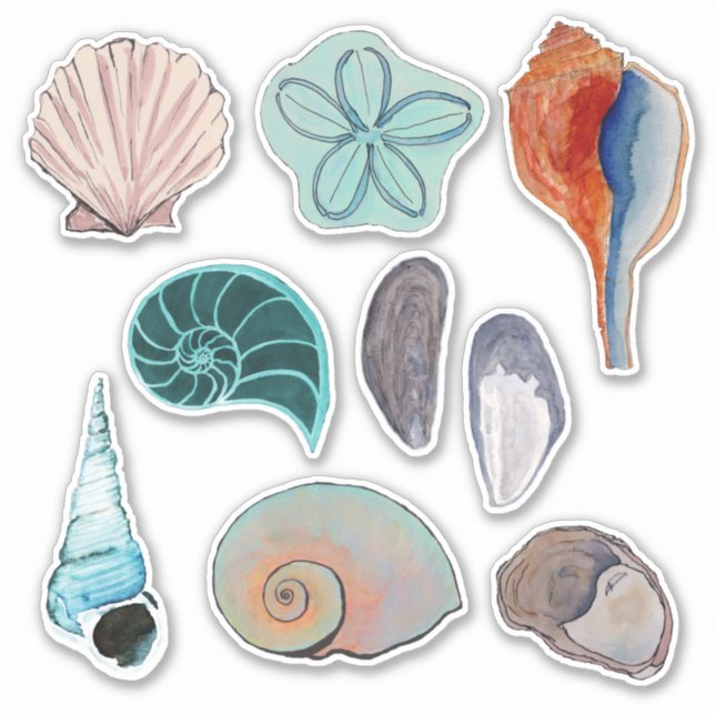 Watercolor Beach Seashells Variety (Front)
