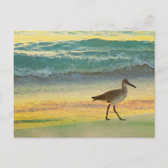 Watercolor Beach Sunset with Sandpiper Postcard (Front)