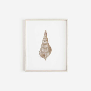 Watercolor beige seashell print