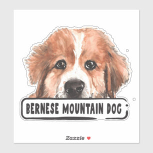 Watercolor Bernese Mountain Dog