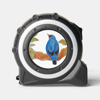 Watercolor Bird Blue Cuckooshrike 1