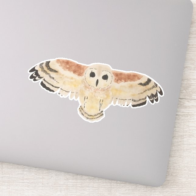 Watercolor Bird Marsh Owl (Detail)