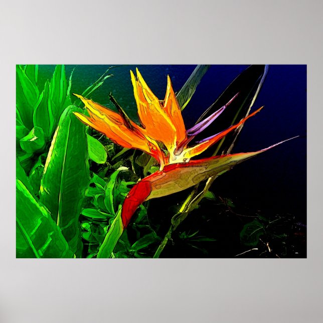 Watercolor Bird Print (Front)