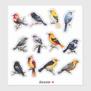 Watercolor Bird Scrapbook Stationery
