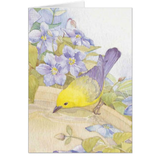 watercolor birds