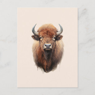 Watercolor Bison Portrait  Postcard