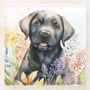 Watercolor Black Labrador Retriever and Flowers Glass Coaster