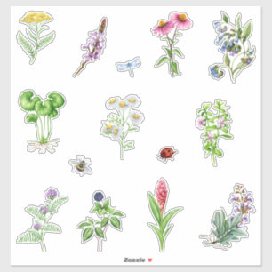 Watercolor Blooming Herbal Plants 