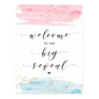 Watercolor Blue and Pink Gender Reveal Welcome