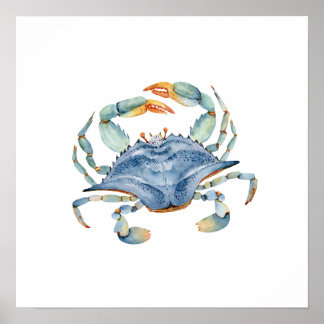 Watercolor Blue Crab Poster