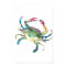 Watercolor Blue Crab