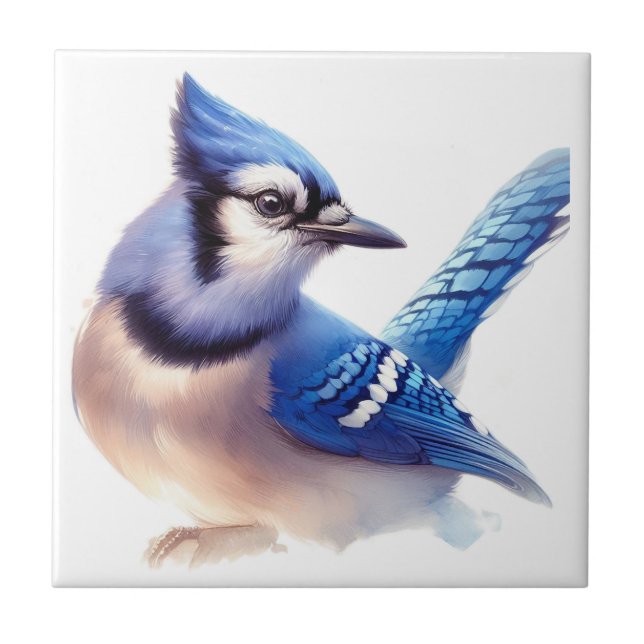 Watercolor Blue Jay  Bird Art Tile (Front)