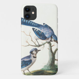 Watercolor Blue Jay Birds Art iPhone 11 Case