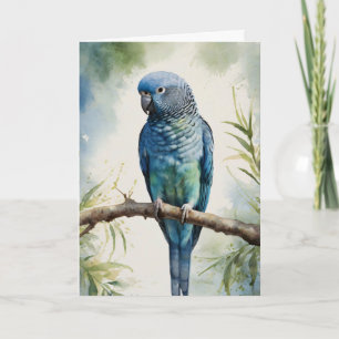 Watercolor Blue Parakeet Eucalyptus Tree Card