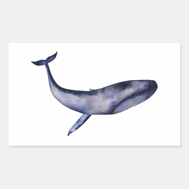 Watercolor Blue Whale Sticker (Front)