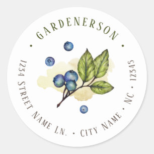 Watercolor Blueberries Classic Round Sticker