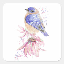 Watercolor Bluebird Blue Bird Art for the