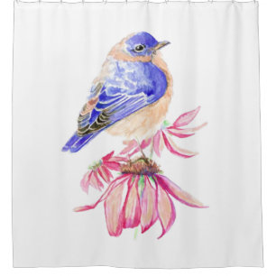 Watercolor Bluebird Coneflower Blue Pink