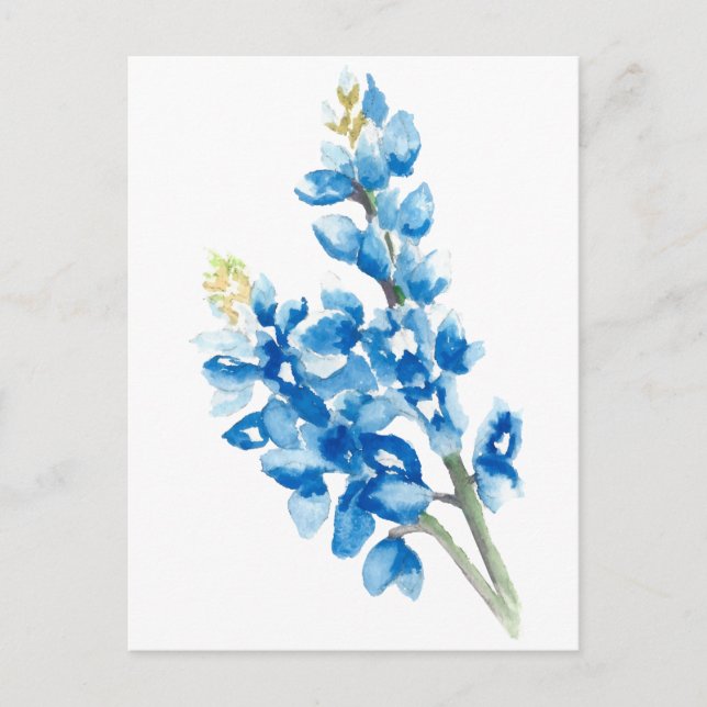 Watercolor Bluebonnets Postcard (Front)