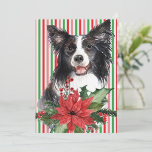 Watercolor Border Collie With Poinsettia Card