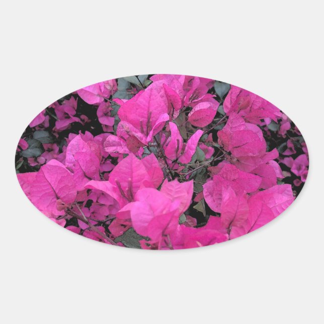 Watercolor-Bougainvillea Oval Sticker (Front)