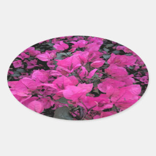Watercolor-Bougainvillea Oval Sticker