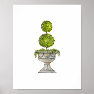 Watercolor Boxwood topiary in antique urn Poster