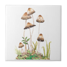 Watercolor Brown Forest Mushrooms