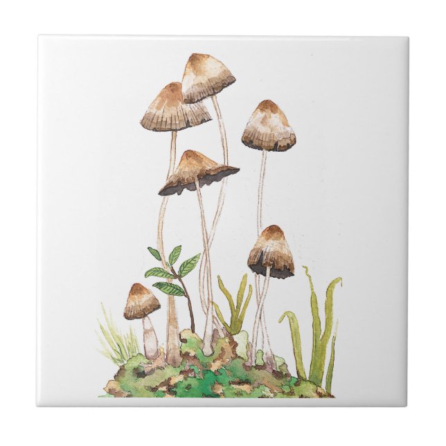 Watercolor Brown Forest Mushrooms Tile (Front)