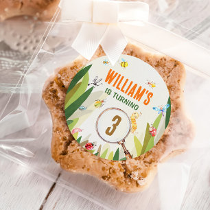 Watercolor Bug Insect Boy Birthday Classic Round Sticker