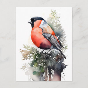 Watercolor Bullfinch on a Pine Branch in the Fores Postcard