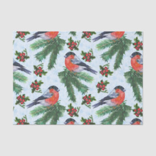watercolor bullfinch tissue paper