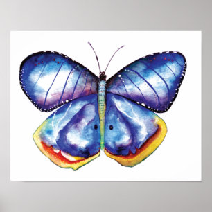 Watercolor Butterfly Value Poster Paper Print