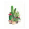 Watercolor Cactus and Succulents