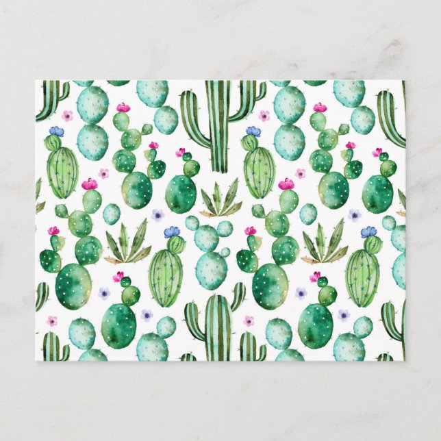 Watercolor Cactus Plants Pattern Postcard (Front)