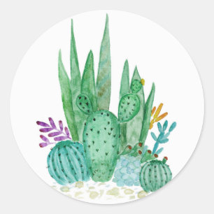 Watercolor , cactus , succulents classic round sticker