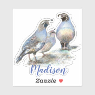 Watercolor California Quail Bird  Custom Name