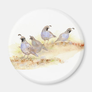 Watercolor California Quail, Bird, Nature,Animal Magnet