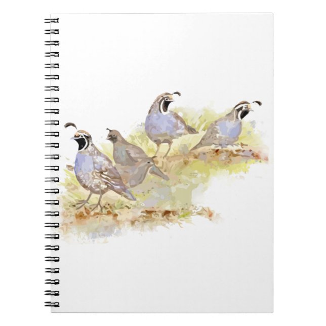 Watercolor California Quail Bird Nature Art Notebook (Front)